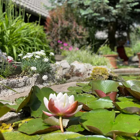 Casa vacanze Oasis Garden Amazonica