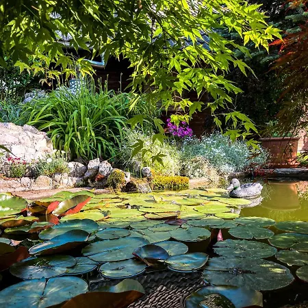 Oasis Garden Amazonica Casa vacanze Šenčur