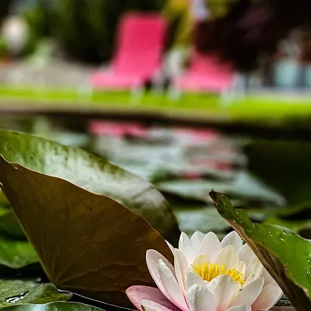 Oasis Garden Amazonica Casa vacanze